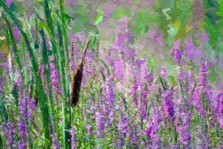 紫色 丙烯酸 春天 绘画 艺术 紫罗兰 沼泽 夏天 油漆