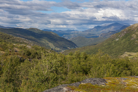 绿色的草地在挪威靠近山区的乡村。夏日多云多雾，挪威乡村风光尽收眼底。选择性聚焦