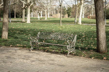 公园里孤零零的铁艺长凳，绿树成荫
