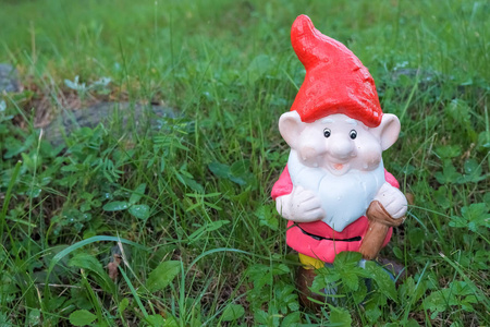 花园小矮人图片