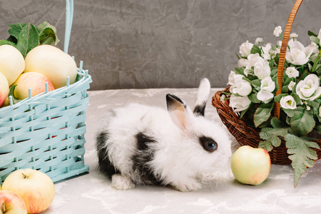一只带黑斑的小白兔坐在一篮子苹果和一个开着白花的篮子旁边照片