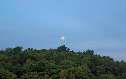 美女 场景 旅行 高的 天气 风景 夏天 环境 公园 太阳