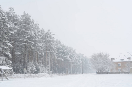 冬季雪景