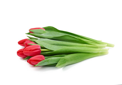 bouquet of fresh red blooming tulips with green leaves and stem 