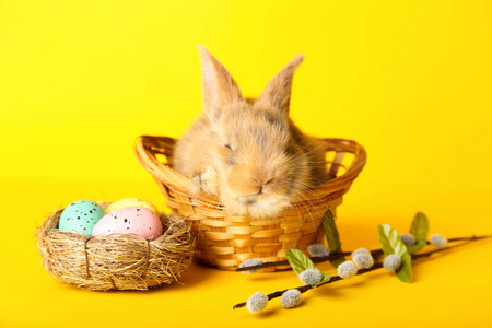 篮子里有复活节彩蛋的兔子，y轴上有柳枝