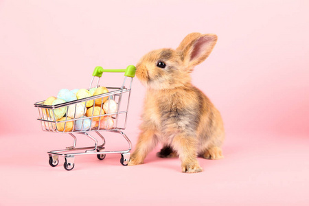 粉红色背景的购物车里有复活节彩蛋的兔子