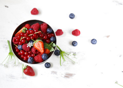 花园 市场 食物 抗氧化剂 自然 特写镜头 夏天 健康 蓝莓