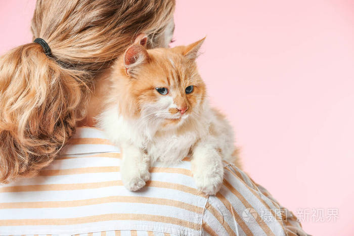 漂亮的年轻女子和可爱的猫在彩色背景