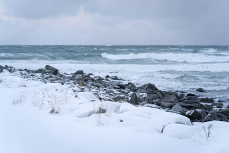 生态学 旅行 南极 自然 美女 冰山 挪威 钓鱼 海滩 岩石
