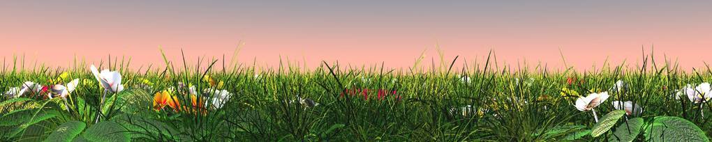 领域 天空 草坪 季节 美女 乡村 黛西 草地 植物 春天