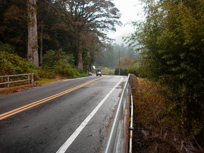 开车 旅行 风景 沥青 天空 植物区系 流动 花的 公路