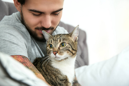 猫科动物 男人 房子 可爱的 拥抱 动物 呼噜声 斑猫 宠物