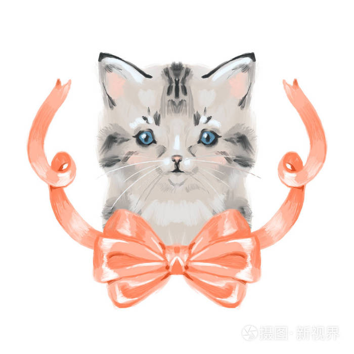 灰色小猫画像 蓝眼睛和红丝带 看着相机 白色背景上的手绘图形图片 镂空 漂亮 舒适 五彩缤纷的小家伙 照片 正版商用图片29jajm 摄图新视界 灰色小猫画像 蓝眼睛和红丝带 看着相机 白色背景上的手绘图形图片 镂空 漂亮 舒适 五彩缤纷的小家伙 照片 正版商用图片29jajm 摄图新视界