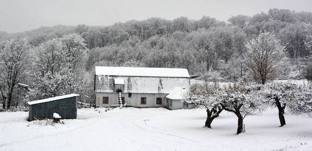 房子 建筑 小屋 天气 天空 季节 场景 国家 美丽的 乡村