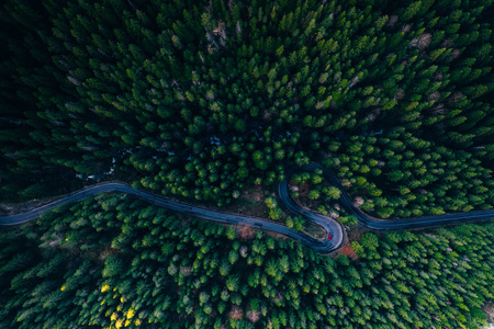 蜿蜒森林公路的无人机视图