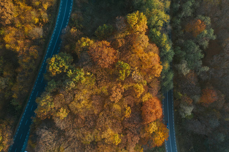 秋天森林和蜿蜒道路的无人机视野