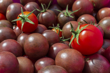 美味的红色和紫色西红柿。托盘市场的夏日。它可以作为背景。选择性聚焦