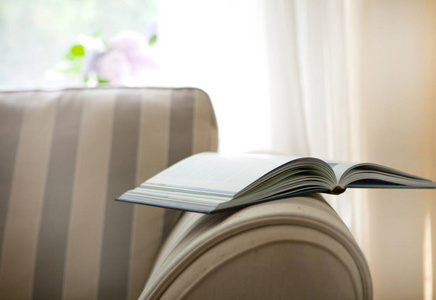 复古风格,现代室内风格和棕色沙发心形礼品盒,书籍和书架上的室内植物