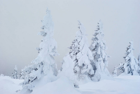 冬季山地景观冰雪森林