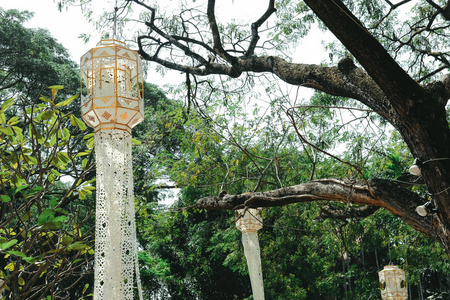 traditional paper lantern hanging on tree. 