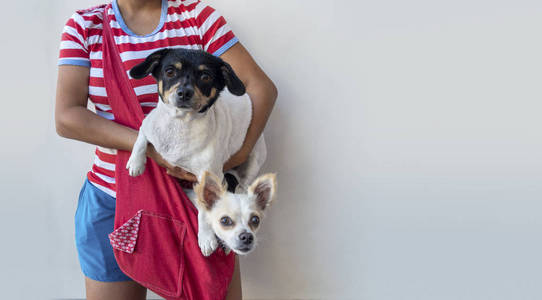 woman holding a dog and anotther in red bag pouch 