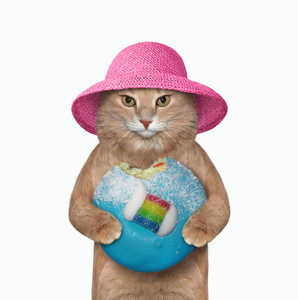 戴帽子的猫和蓝色甜甜圈图片