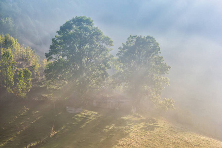 公园 小山 早晨 古老的 乡村 天空 寒冷的 领域 房子