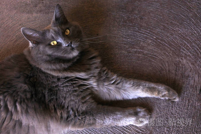 暂无图片作者lucidwaters新媒体授权标准授权扩展授权如何选择jpg大