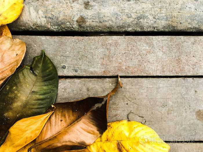 绿色的叶子在质朴的木质背景上平铺设计复制空间