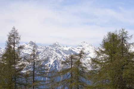 旅游业 森林 风景 欧洲 山谷 意大利 阿尔卑斯山 旅行