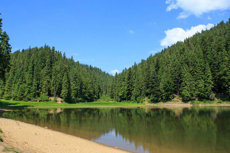 旅游业 反射 横幅 天空 自然 山谷 夏天 森林 全景图