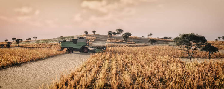 麦田作业的小麦收获机图片