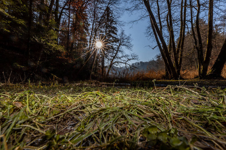 冬天 天气 天空 季节 森林 美丽的 阳光 木材 克罗地亚