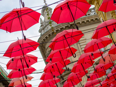 塞尔维亚的许多红色雨伞装饰图片
