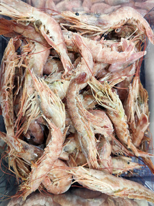 饮食 营养 食物 贝类 鱿鱼 动物 市场 烹饪 对虾 美食家