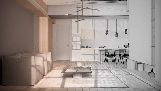 建筑师室内设计师概念未完成的项目，成为现实，极简主义客厅和厨房，餐桌，椅子，拼花地板，扶手椅，地毯。设计理念