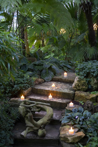 有蜡烛和石阶的森林景观