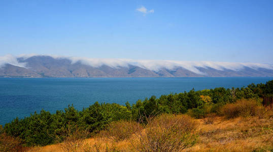 美女 公园 秋天 海岸 欧洲 森林 小山 风景 国家的 自然