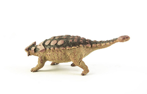 白底恐龙甲龙照片