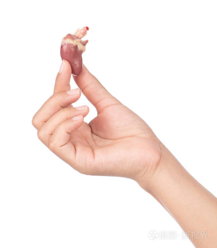 手拿着白色背景上孤立的原始心脏