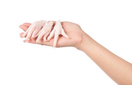 鸡爪新鲜图片-鸡爪新鲜素材-鸡爪新鲜插画-摄图新视界