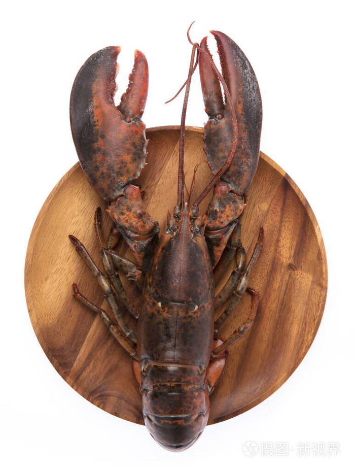 dishoffreshrawlobsterisolatedonwhitebackground