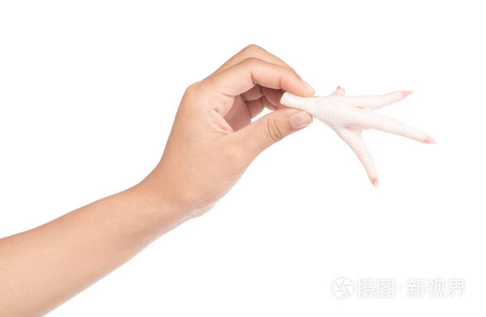 手拿着白色背景的生鸡爪