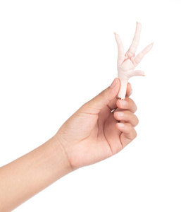 鸡爪新鲜图片-鸡爪新鲜素材-鸡爪新鲜插画-摄图新视界