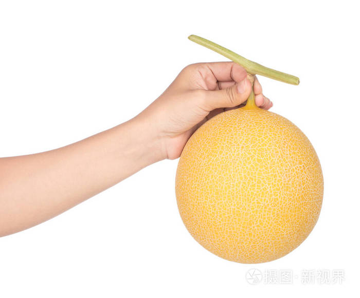 手拿着白色背景上孤立的全瓜哈密瓜