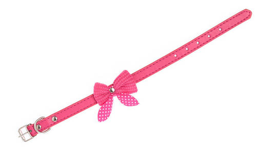 Pink pet collar with polka dots and bow tie isolated over white 