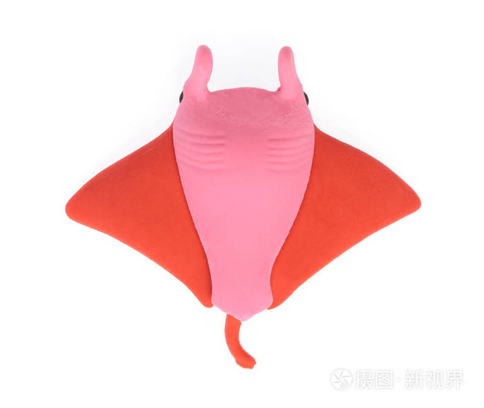 白底黄貂鱼橡皮擦