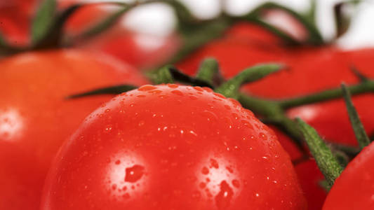 西红柿 植物 健康 肉汁 素食主义者 忧虑 午餐 沙拉 花园