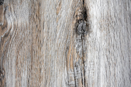 木工 纹理 木材 建设 粮食 面板 颜色 地板 空的 镶木地板
