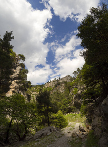 岩石 流动 环境 希腊 峡谷 流动的 风景 森林 石头 运动